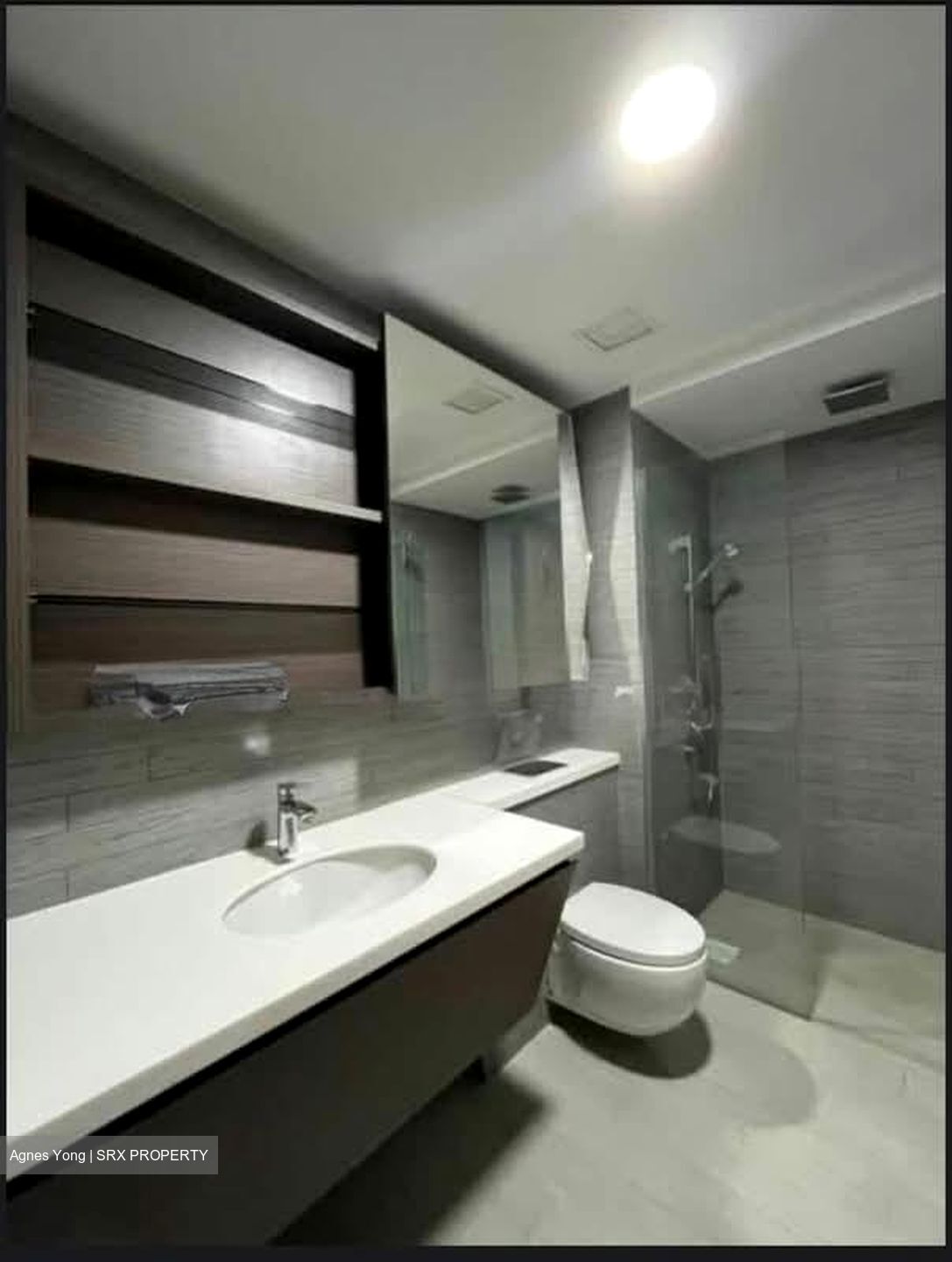 V On Shenton (D1), Apartment #563599951
